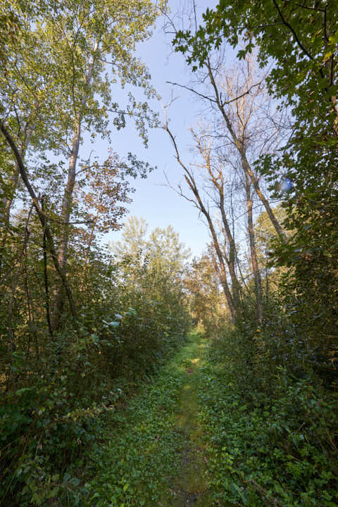 Gemeinde Winhöring Landkreis Altötting Steinhöring Isen Landschaft Pilgerweg (Dirschl Johann) Deutschland AÖ